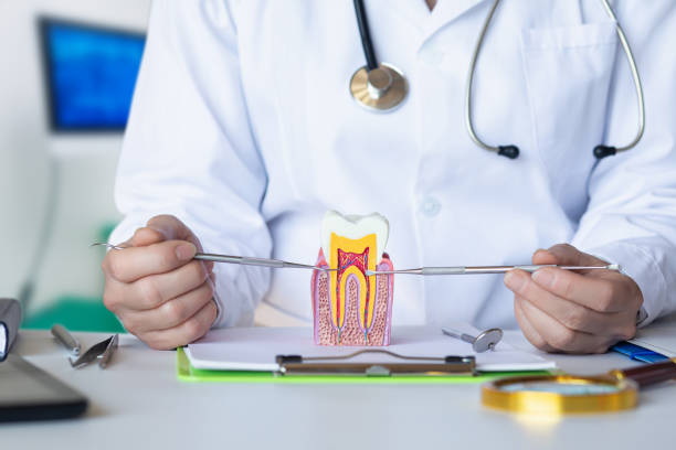 Best Emergency Root Canal Therapy in Riverdale Park, MD